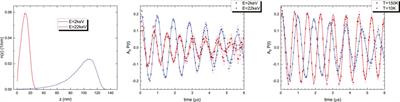 SRF material research using muon spin rotation and beta-detected nuclear magnetic resonance